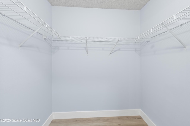 spacious closet featuring wood-type flooring