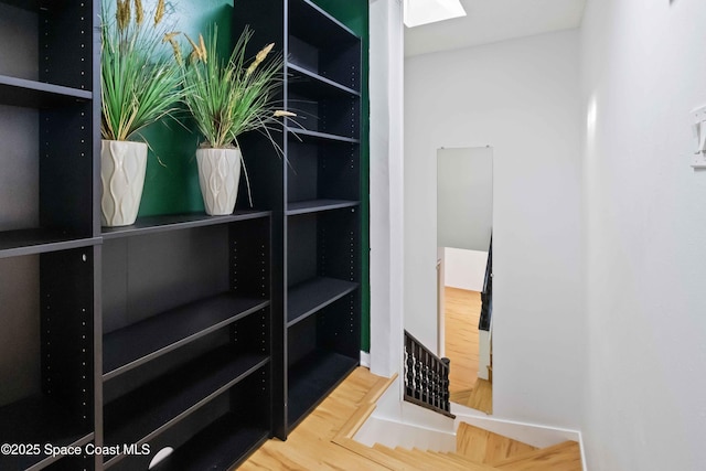 spacious closet with wood-type flooring