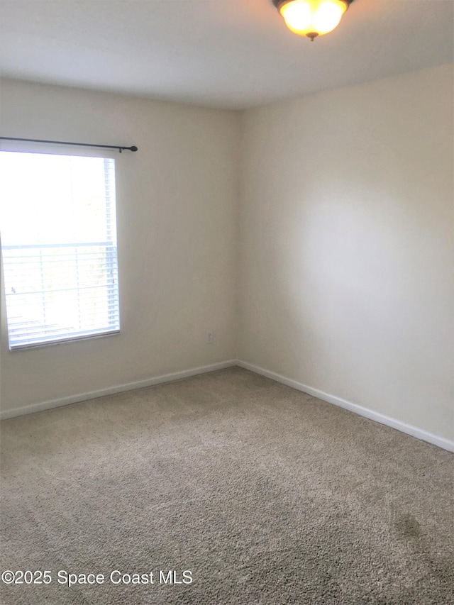 unfurnished room featuring carpet