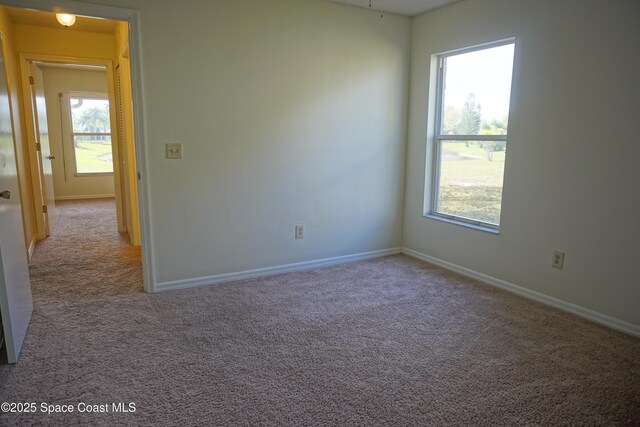 empty room with a wealth of natural light, carpet flooring, and baseboards