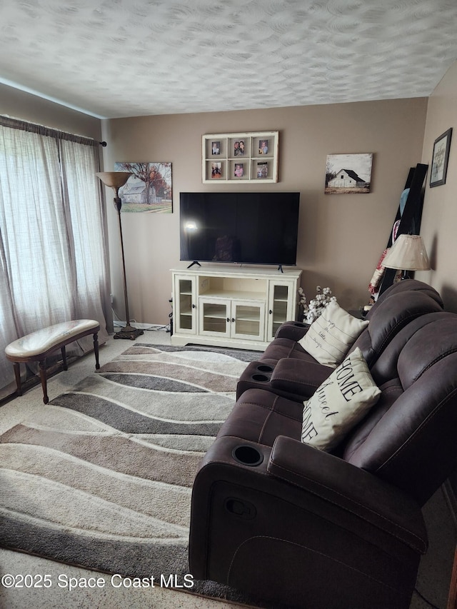 carpeted living room featuring a textured ceiling