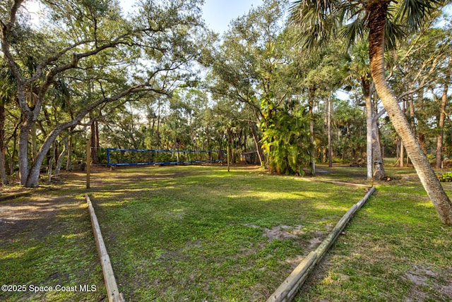 view of yard featuring volleyball court