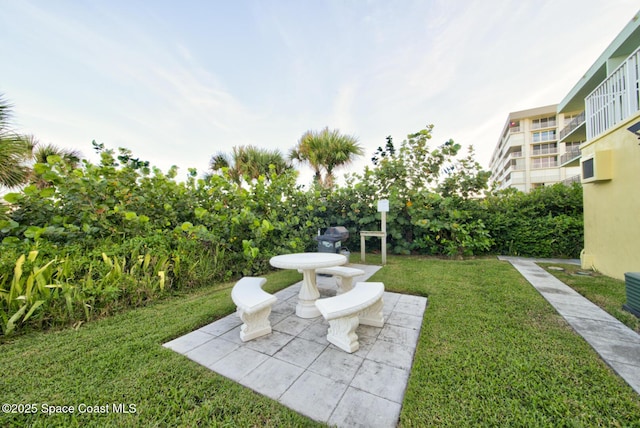 view of yard with a patio area