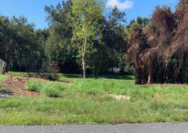 2270 Kent St NE, Palm Bay FL, 32907 land for sale