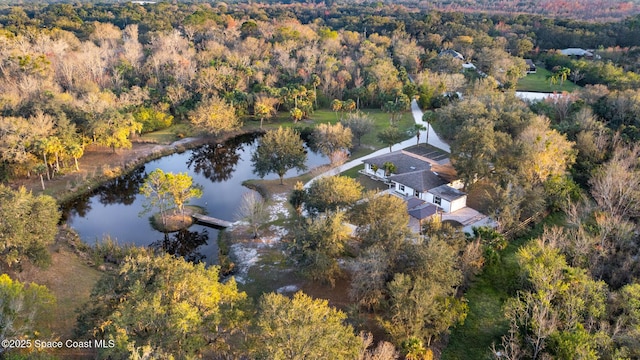 bird's eye view featuring a water view