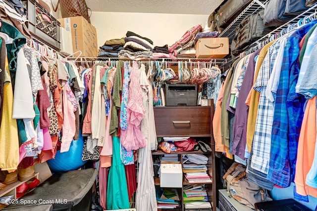 view of walk in closet