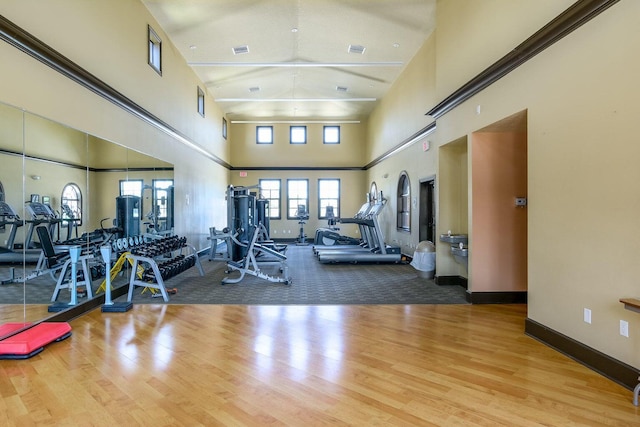 workout area featuring a towering ceiling and wood-type flooring