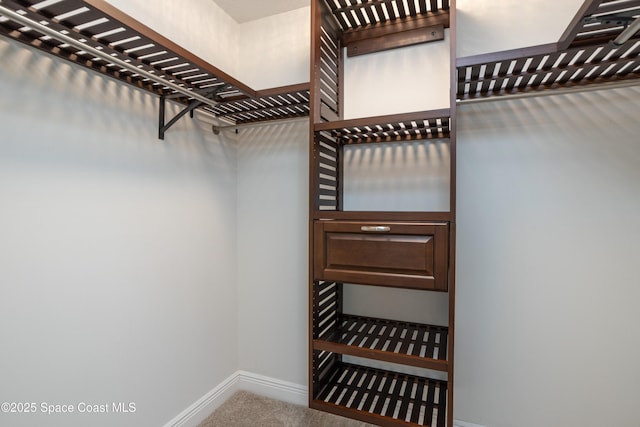 walk in closet with carpet flooring