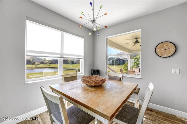 dining space featuring a water view, a chandelier, and light wood-type flooring