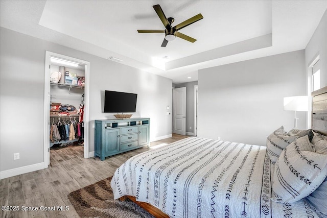 bedroom with a walk in closet, light wood-type flooring, a tray ceiling, a closet, and ceiling fan