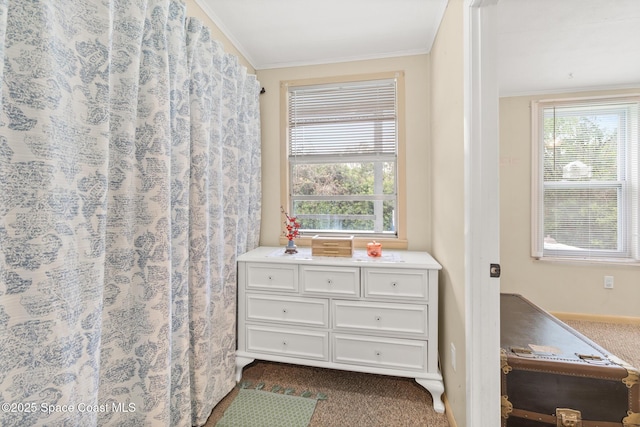 interior space with ornamental molding and dark colored carpet