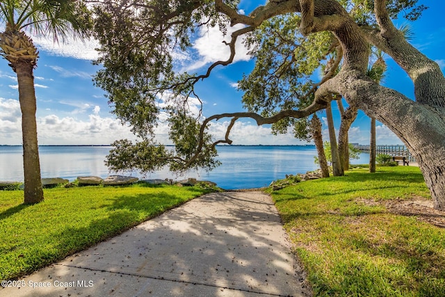 property view of water