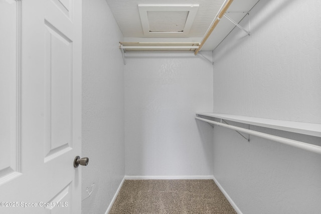 spacious closet with carpet floors