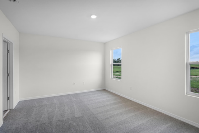 spare room featuring carpet and a wealth of natural light