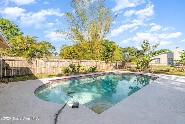 view of swimming pool featuring a patio