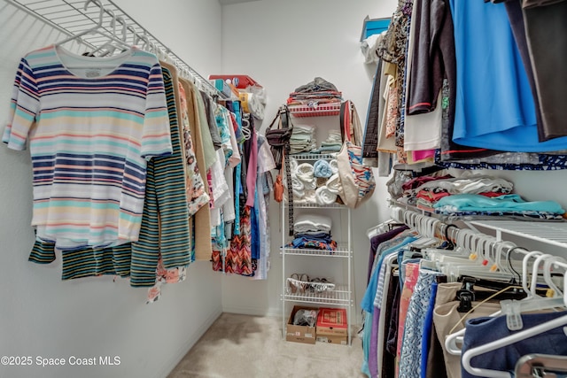 spacious closet featuring carpet floors