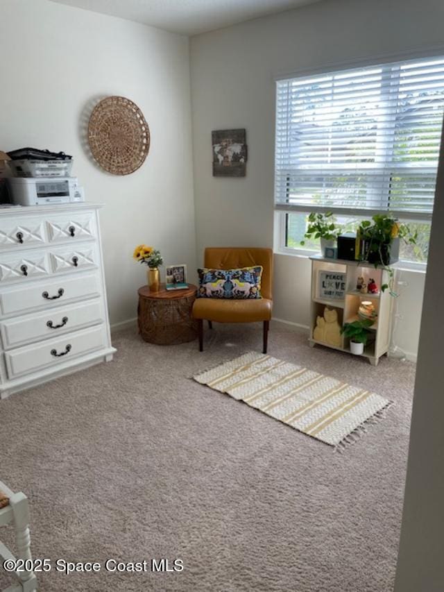 living area featuring carpet floors