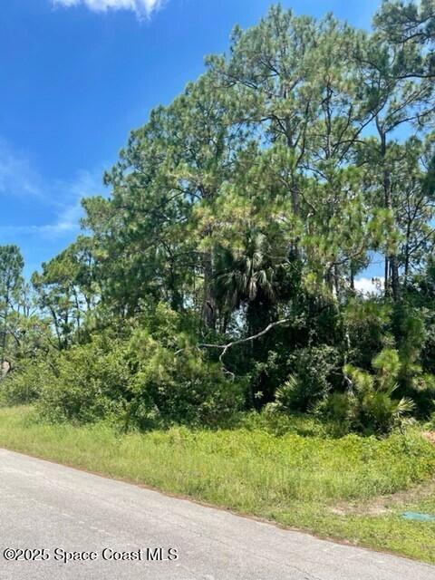 171 Shalimar Ave NW, Palm Bay FL, 32907 land for sale