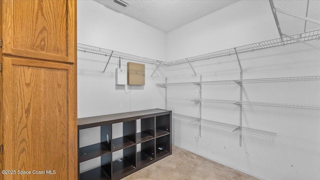 spacious closet with light colored carpet