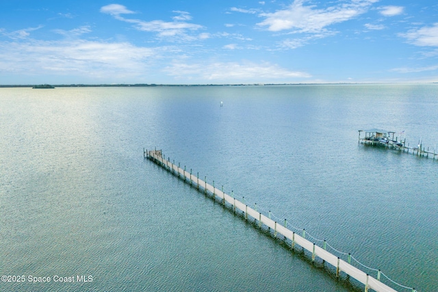 water view featuring a boat dock