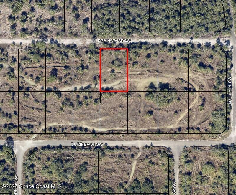 1020 Echinata St SW, Palm Bay, FL 32908 - photo 1