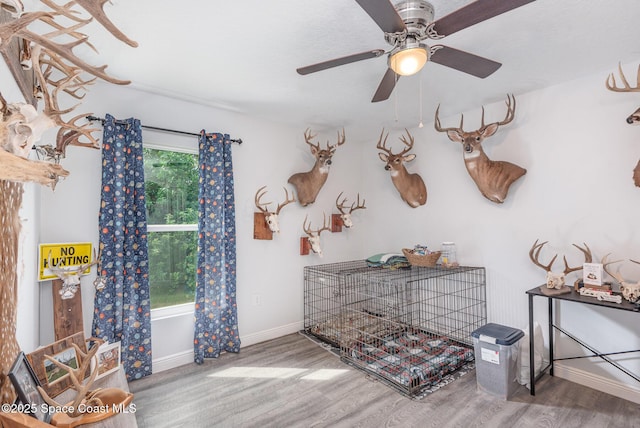 interior space with hardwood / wood-style flooring, ceiling fan, and a wealth of natural light