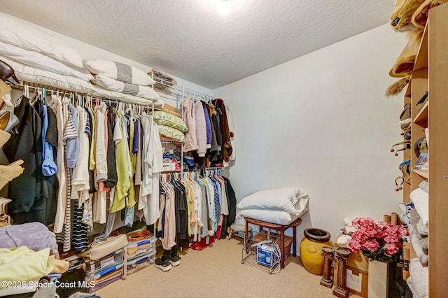 spacious closet featuring carpet floors