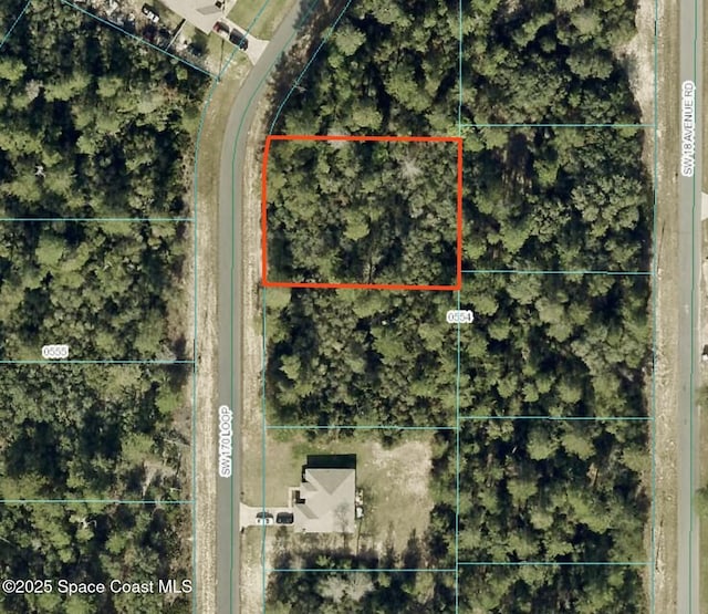 000 SW 170th Loop, Ocala FL, 34473 land for sale