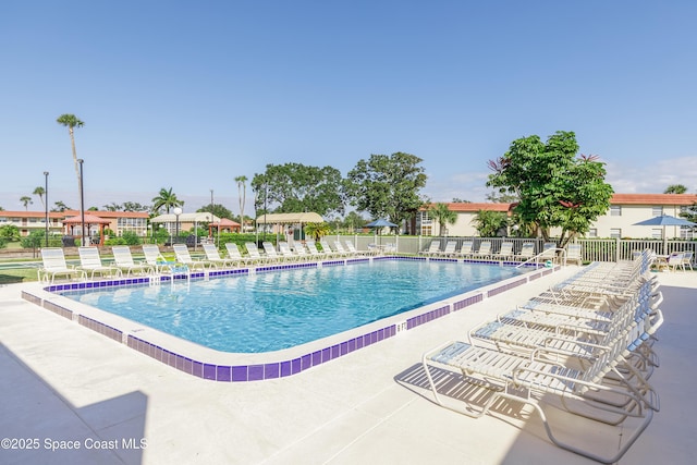 view of swimming pool with a patio area