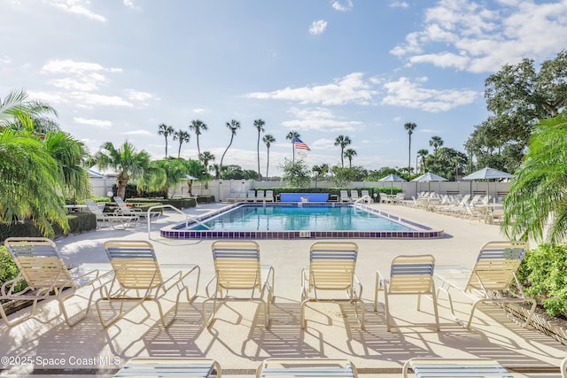 view of swimming pool featuring a patio