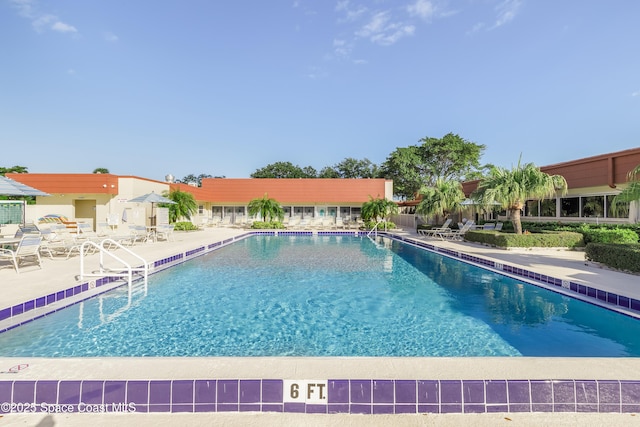 view of swimming pool with a patio