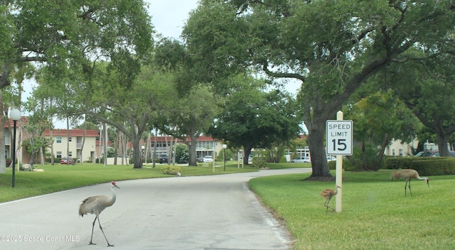 surrounding community featuring a yard