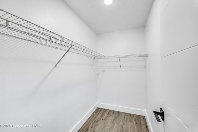 walk in closet with hardwood / wood-style floors