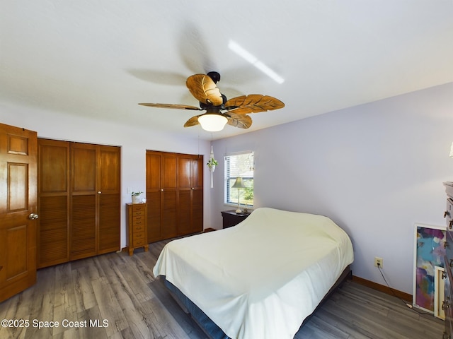 bedroom featuring multiple closets, dark wood-type flooring, and ceiling fan