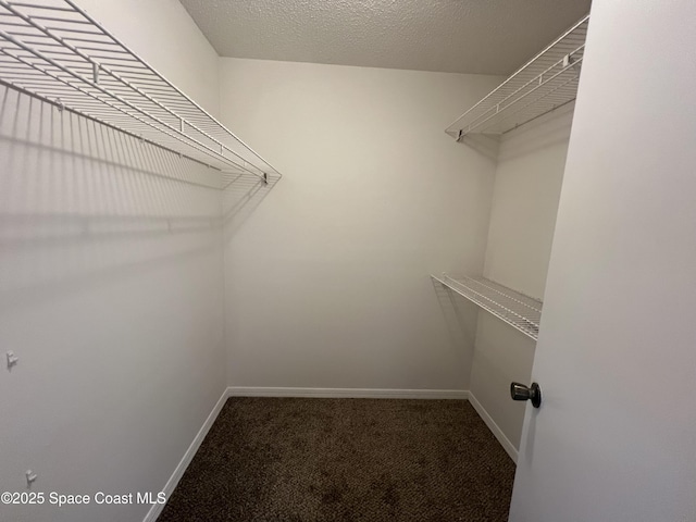 spacious closet with carpet flooring