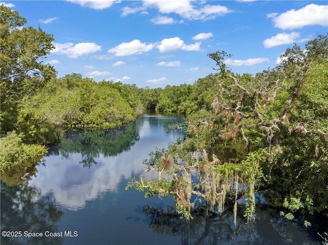 property view of water