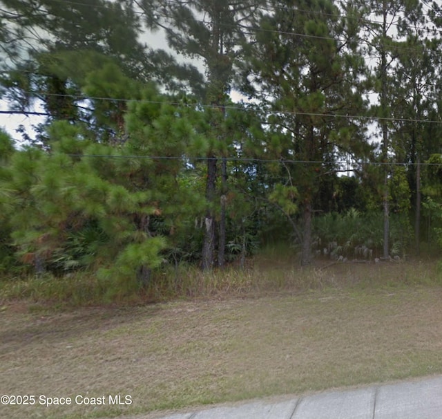 181 Hurley Blvd SW, Palm Bay FL, 32908 land for sale