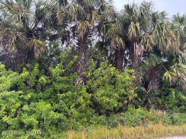 1325 Laredo St SW, Palm Bay FL, 32908 land for sale