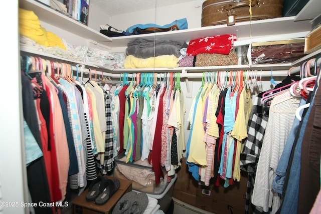 view of walk in closet