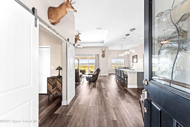 entryway featuring dark hardwood / wood-style flooring, a barn door, a raised ceiling, and sink