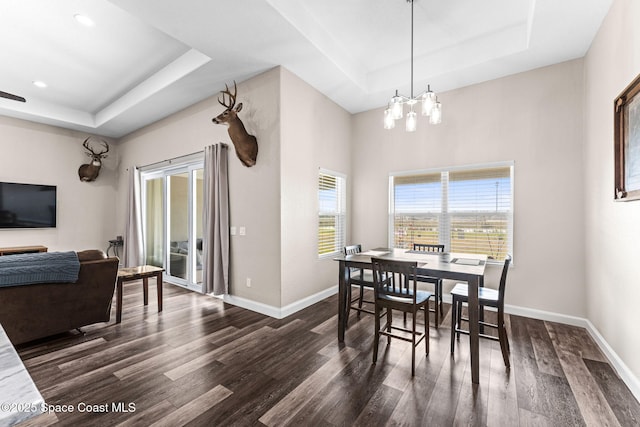 dining room with a raised ceiling, a healthy amount of sunlight, and dark wood-type flooring