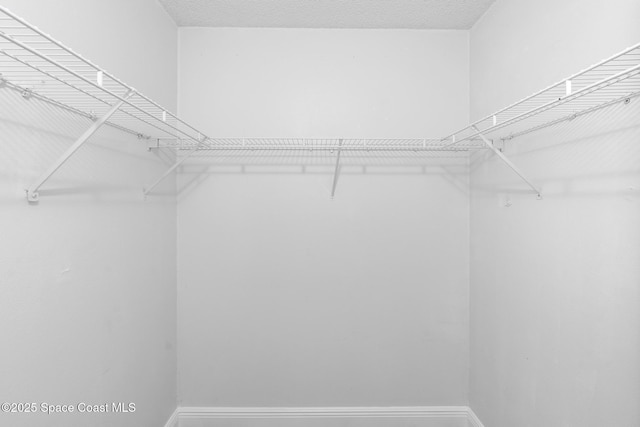 view of walk in closet