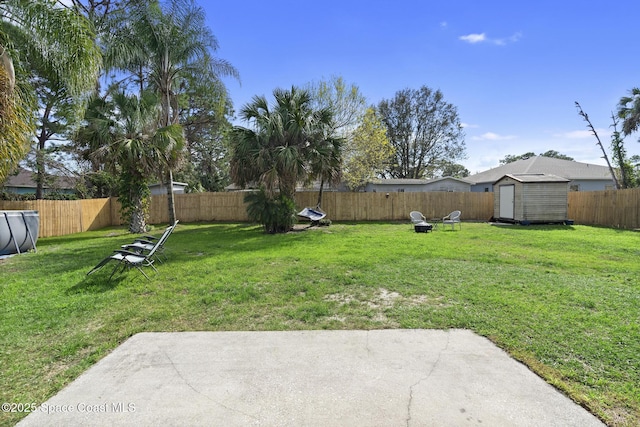 view of yard featuring a patio area and a storage shed