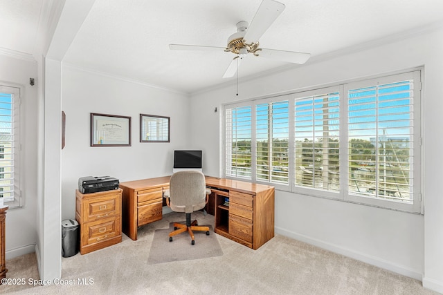 office with crown molding, ceiling fan, and light carpet