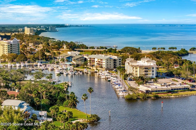 birds eye view of property featuring a water view