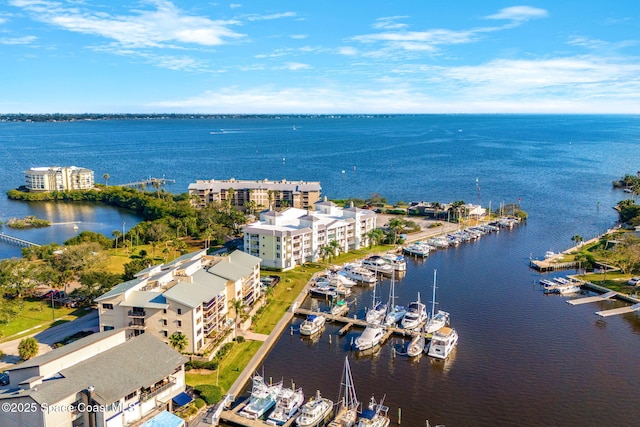 drone / aerial view with a water view