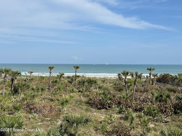 water view featuring a beach view