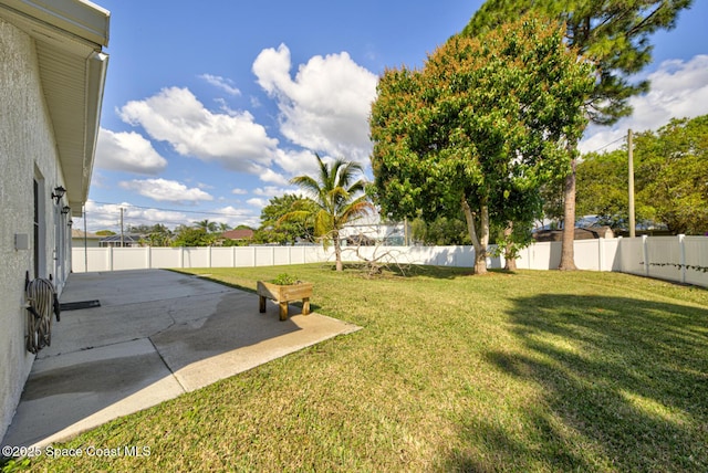 view of yard featuring a patio