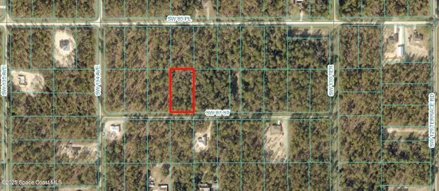 000 SW 87th St, Dunnellon FL, 34432 land for sale