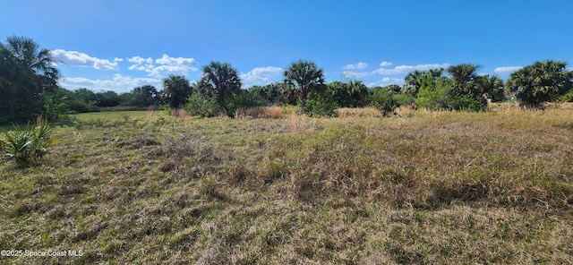 2408 Jamaica Ave SW, Palm Bay FL, 32908 land for sale